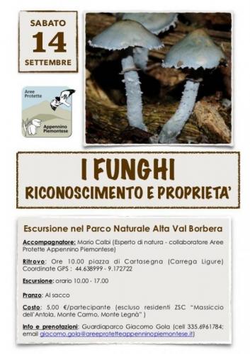 Escursione Micologica A Cartasegna - Carrega Ligure