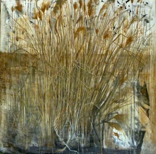 Giardini Spontanei - Tortona