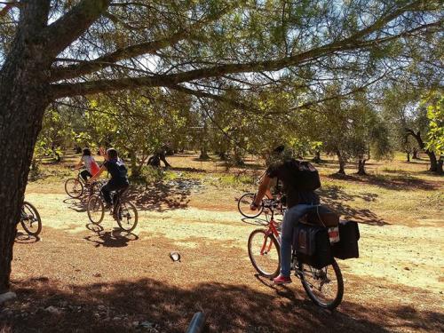 Il Viaggio Di Darwish - San Vito Dei Normanni