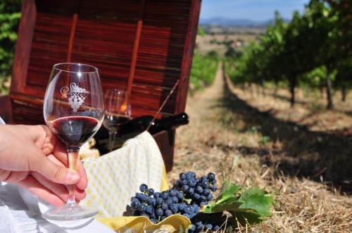 Weekend Della Strada Del Sagrantino A Montefalco - Montefalco