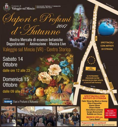 Fiori E Profumi D’autunno A Valeggio Sul Mincio - Valeggio Sul Mincio