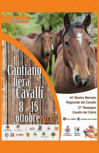 Cantiano Fiera Cavalli - Cantiano