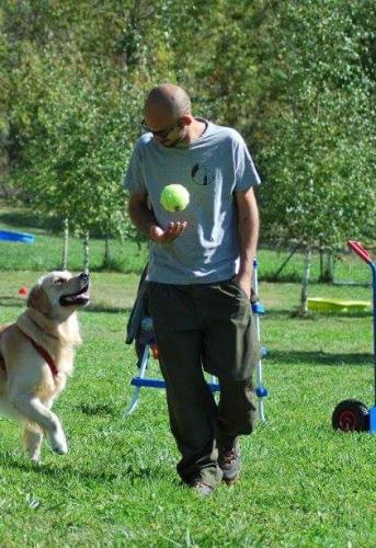 Canile Di Rimini Stefano Cerni - Rimini