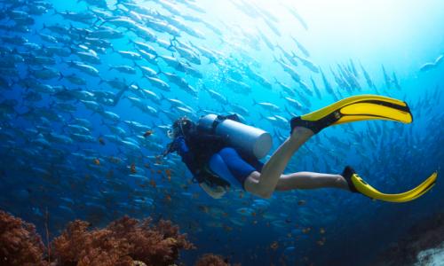 Corso Open Water Diver Padi - Reggio Emilia