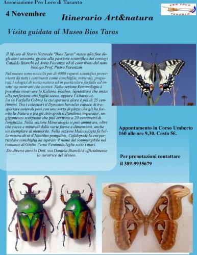 Visita Al Museo Bios Taras - Taranto