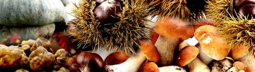 Sapori D'autunno In Oltrepo Pavese - 