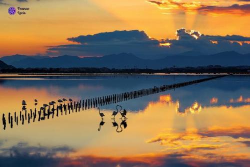 Visita Al Parco Di Molentargius - Cagliari