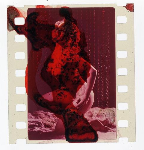 Maravee Mind - Gemona Del Friuli