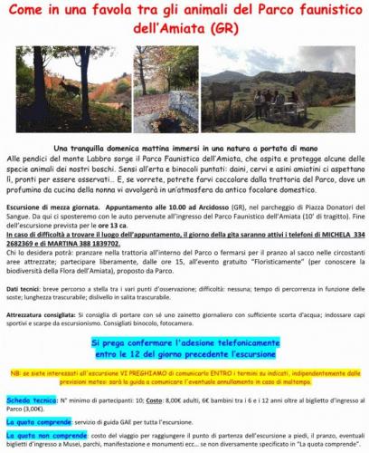 Parco Faunistico Di Monte Amiata - Arcidosso