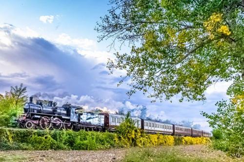 Treno A Vapore Per La Sagra Del Tartufo - Rimini
