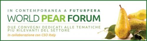 Futurpera - Ferrara