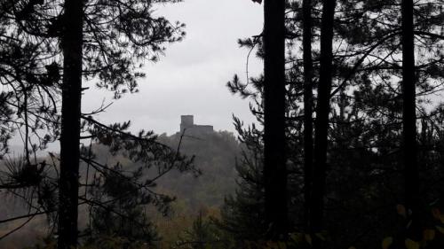 Il Sentiero Delle Carbonaie - Val Di Nizza