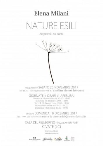 Personale Di Elena Milani - Civate