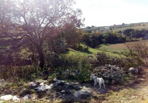 Sapori D’autunno - 