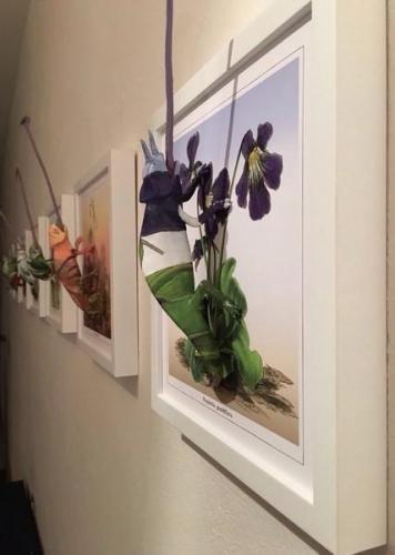 In Contemporanea A Palazzo Magnani - Reggio Emilia