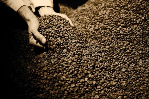 Maratona Di Tostatura - Udine