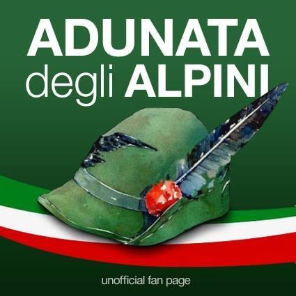 Adunata Nazionale Degli Alpini A Fondo - Fondo