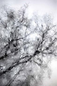 Personale Di Pina Inferrera - Napoli