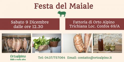 Festa Del Maiale - Borgo Valbelluna