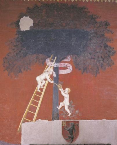 La Città Ideale Di Castiglione Olona - Castiglione Olona