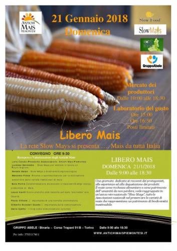 Libero Mais - Torino