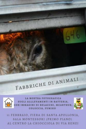 Mostra Antispecista - Rivolta D'adda