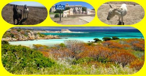 Alghero - Stintino E Asinara Con Buysardinia - Alghero