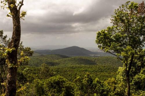 Sabato Trek Con Terramare - Montorsaio - Campagnatico