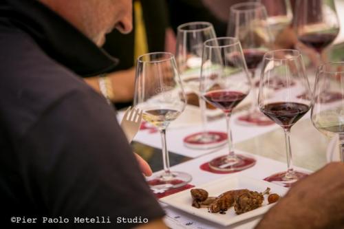 Sagrantino Ambassador - Montefalco