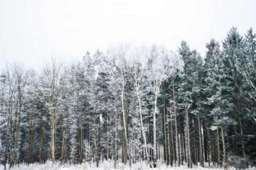 Quando L' Inverno Diventa Arte - Milano