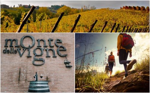 Biotrekking A Monte Delle Vigne - Collecchio