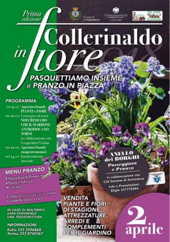 Collerinaldo In Fiore - Borgo Velino