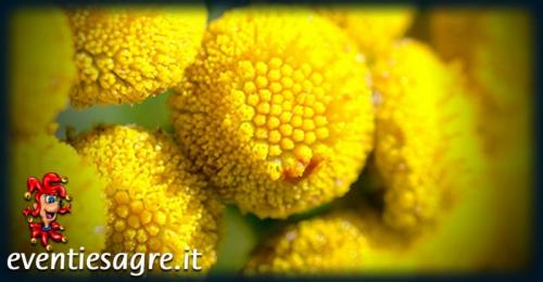 Donne In Cammino - Canossa