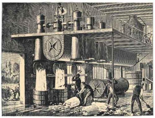 Cena Con Delitto A Ferrara - Ferrara