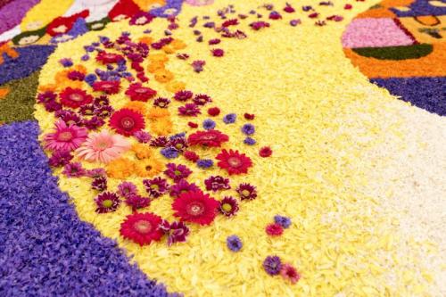 Le Più Belle Infiorate In Italia - 