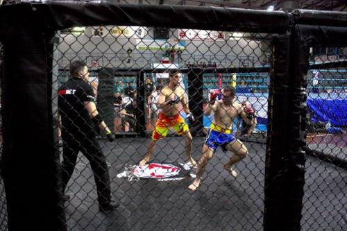 Trieste In The Arena - Trieste