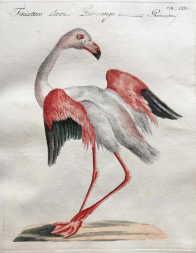 Alchimie Tra Terra E Cielo - Loro Ciuffenna