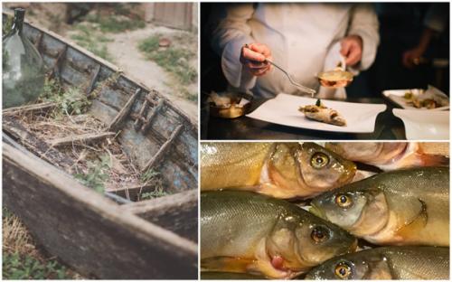 Una Festa D’acqua Dolce - Polesine Parmense