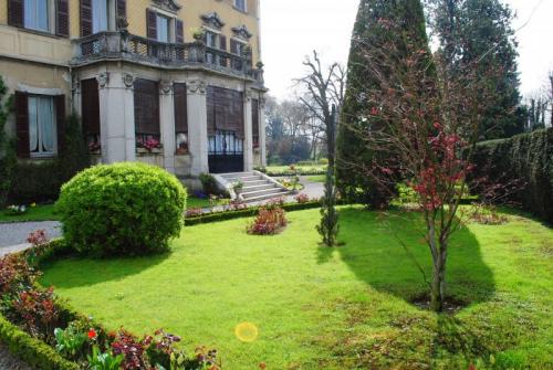 Pasquetta In Fiore Nel Parco Di Villa Allegreni - Martinengo