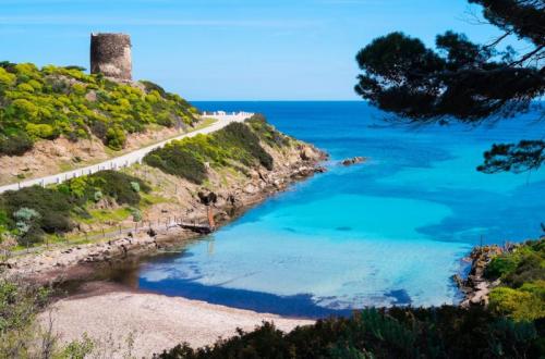 Tour Alla Magnifica Isola Dell'asinara E Castelsardo - Carbonia