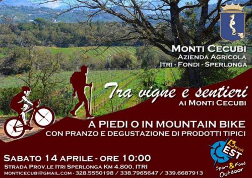 Tra Vigne E Sentieri Ai Monti Cecubi - Itri