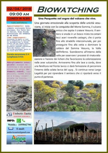 Biowatching - Ottaviano