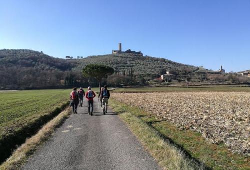 Gran Tour In Valdichiana - Arezzo