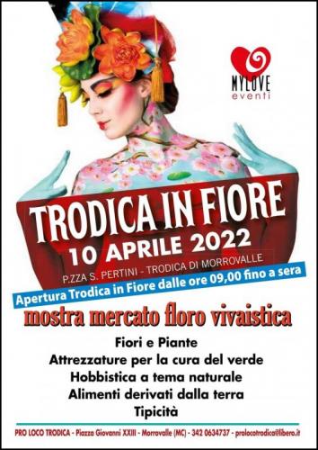 Trodica In Fiore - Morrovalle