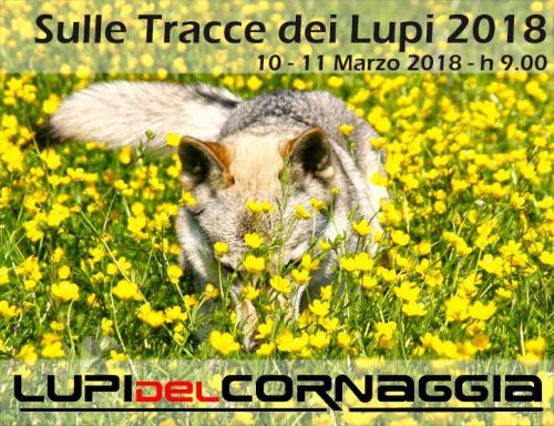 Sulle Tracce Dei Lupi - Colazza