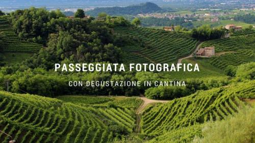 Passeggiata Fotografica Sui Colli Trevigiani  - Nervesa Della Battaglia
