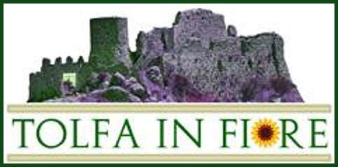 Tolfa In Fiore - Tolfa