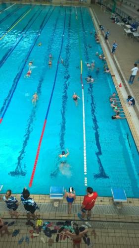 Aspettando La Maratona Di Nuoto Capri - Napoli - Napoli