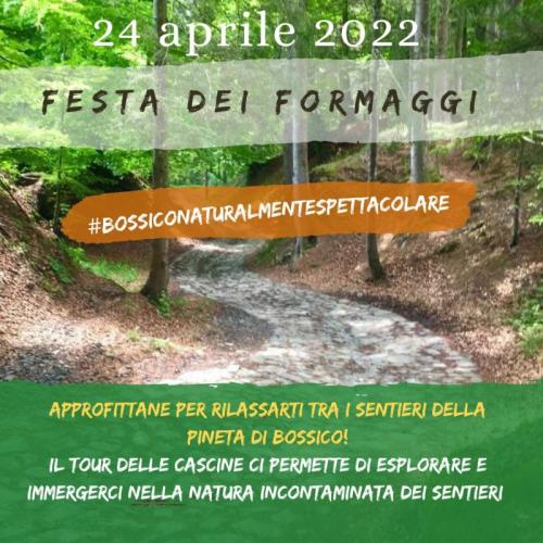 Festa Dei Formaggi Sull'altopiano Di Bossico - Bossico
