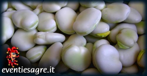 Festa Della Fava Di Fratte Rosa E Dei Tacconi - Fratte Rosa